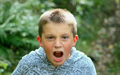 Rabietas: Herramientas para padres en momentos difíciles